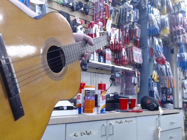 Guitare japonaise
