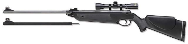 Pellet gun beeman + scope