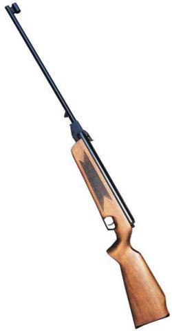 Pellet rifle