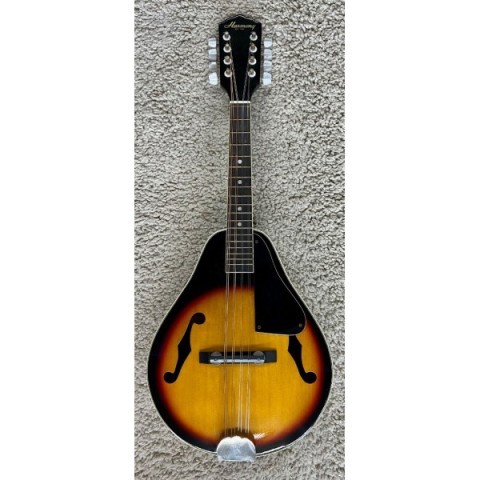 Sunburst harmony mandolin