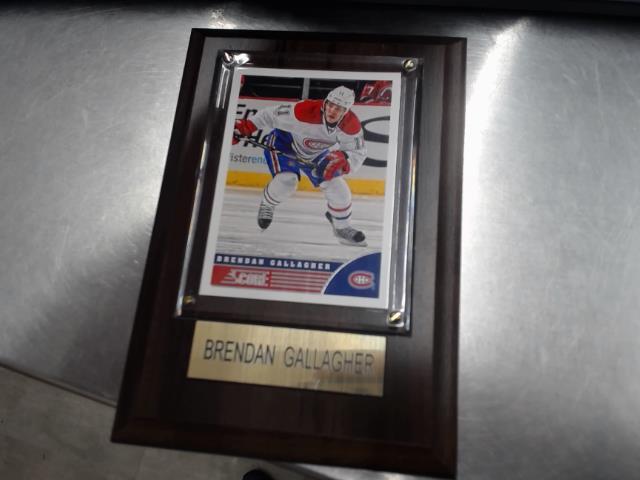 Brendan gallagher framed