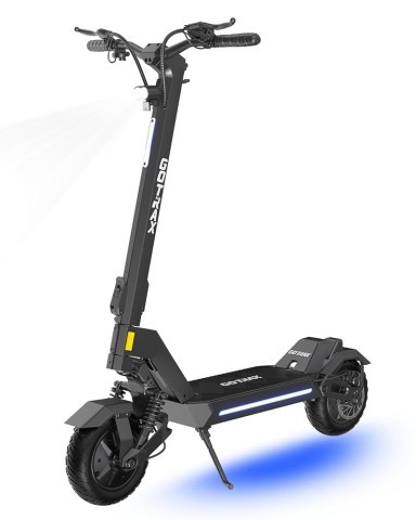 Electric scooter dual 600w motor