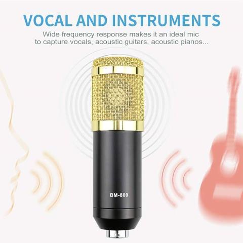 Microphone avec support