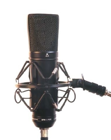 Large diaphragm condenser microphone