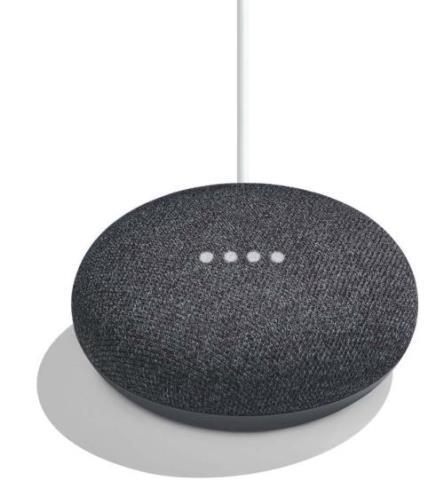 Google home mini + fils