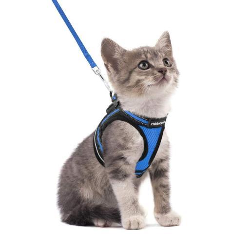 Cat harness and leash set