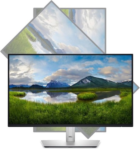Monitor dell
