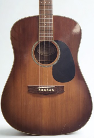 Vantage guitare acoustique