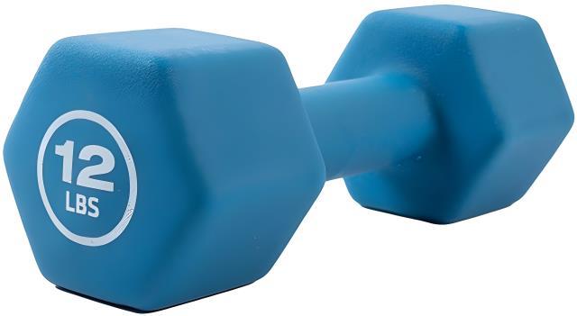 2 alters concorde fitness 12lbs