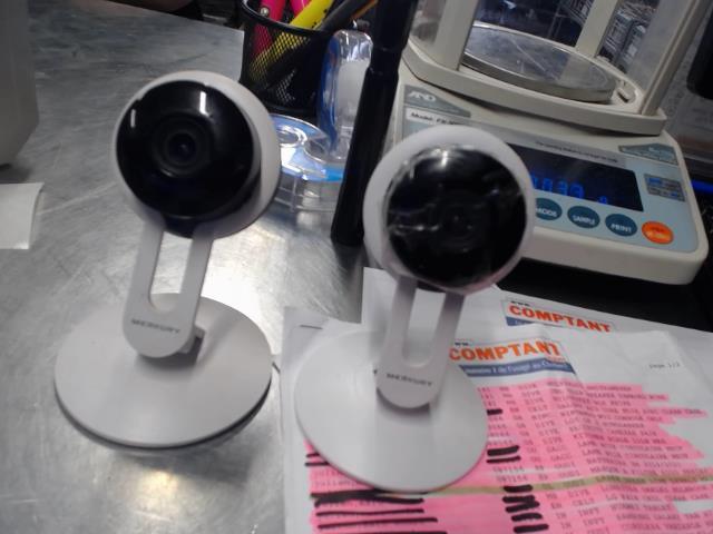 Security cameras pair