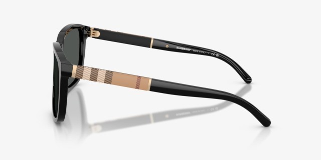 Burberry sunglasses + case