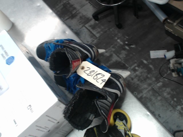 Patin bauer vapor