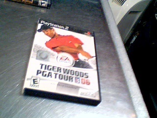 Tiger woods pga tour 06