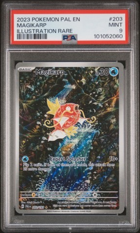 Pokemon pal en magikarp illustration