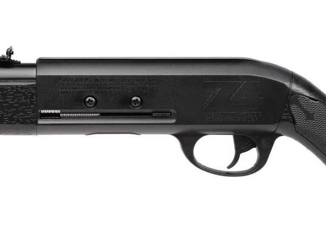 Pellet gunb