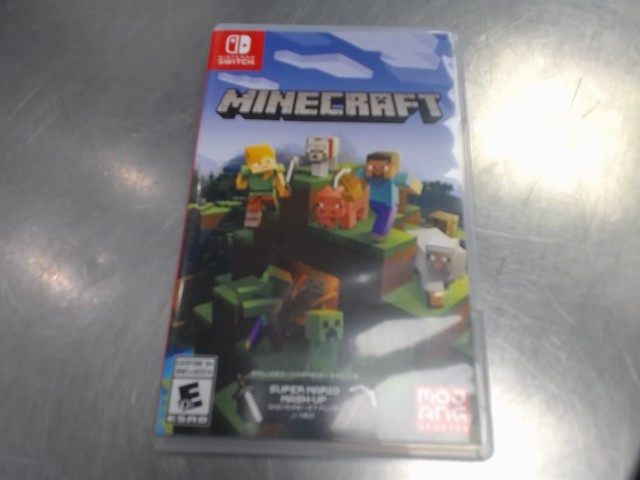 Minecraft switch