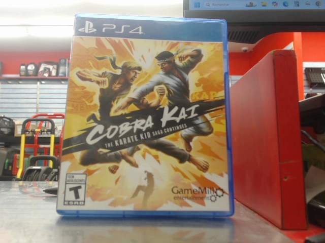 Cobra kai the karate kid saga continues