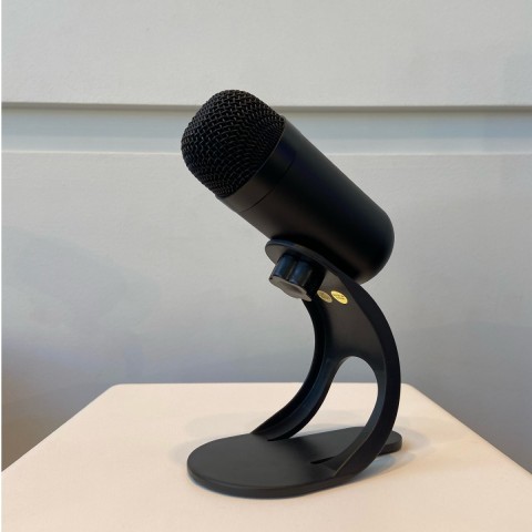 Condenser microphone sound recording