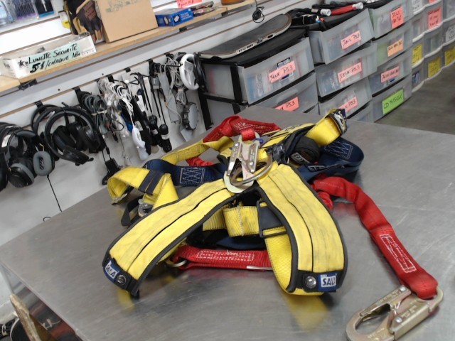 Harnais securiter+bungee