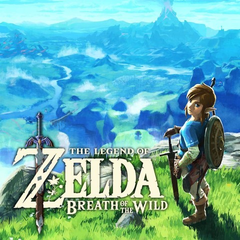 Zelda botw
