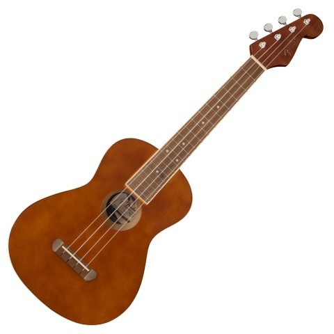 Ukulele fender asser propre