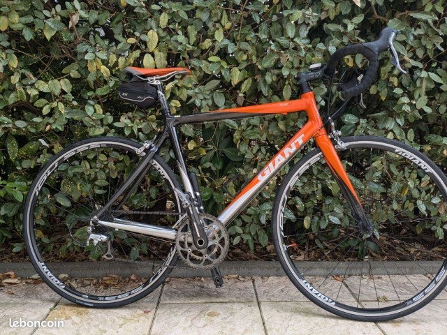 Giant orange et gris