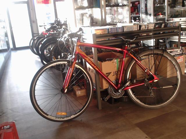Vlo 21 vitesses miele veneto