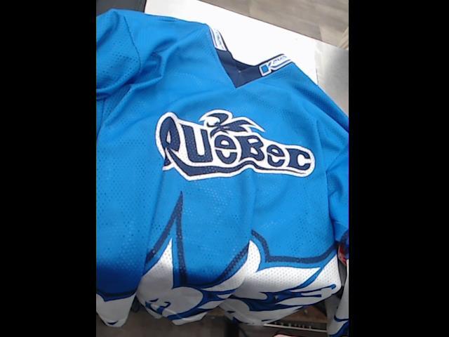 Quebec hockey jersey bleu