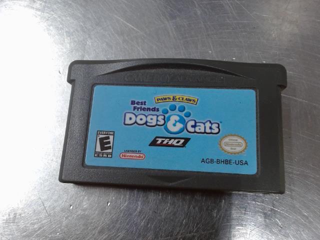 Best friends dogs and cats
