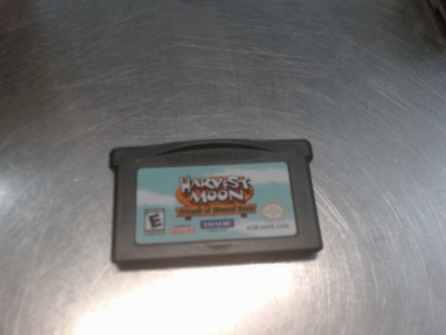 Harvest moon