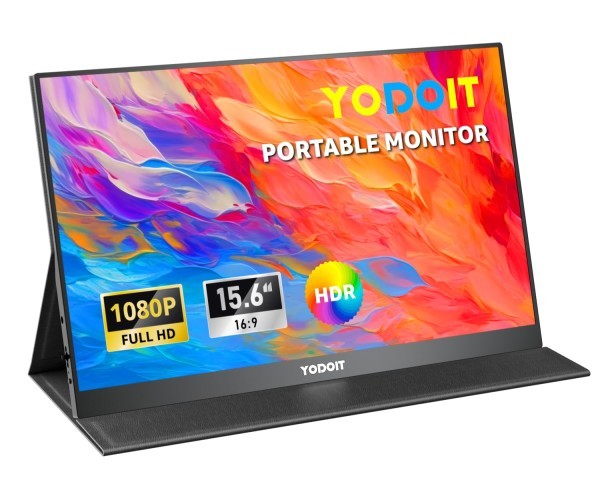 Portable monitor