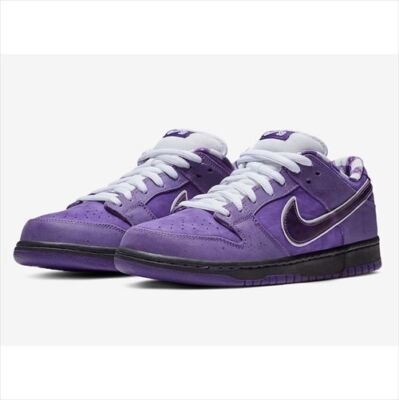 Nike sb dunk dunk low concepts purple lo