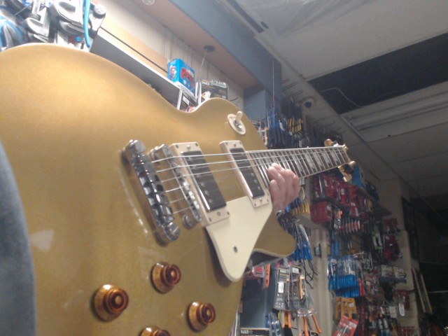 Lespaul standard neck repair/taylor tun
