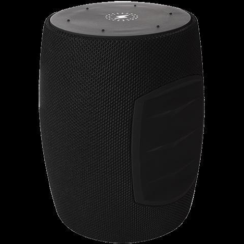 Speaker portable