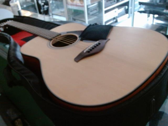 Guitare acoustiv avec case