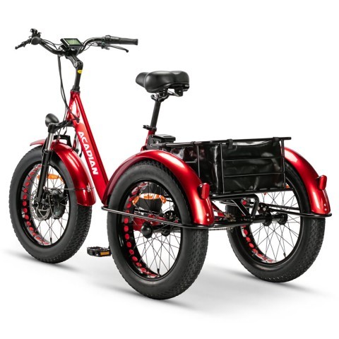 Velo electrique 3 roue avec sacoce ch