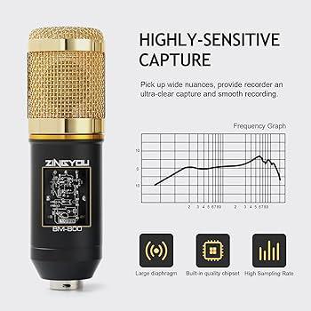 Microphone