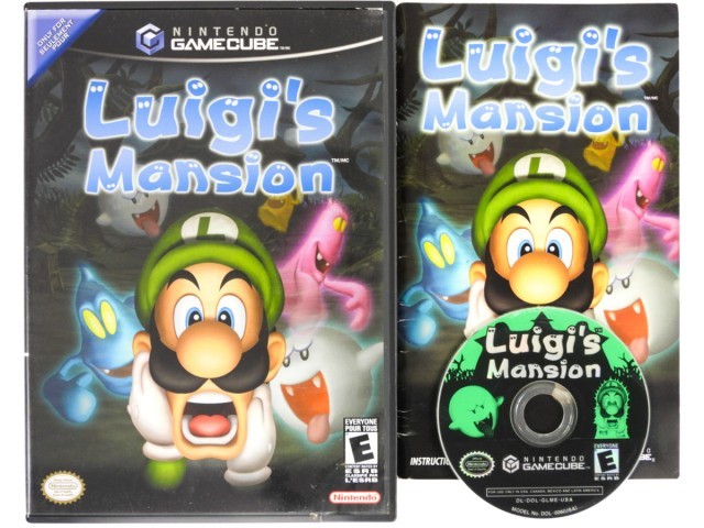 Luigi's mansion