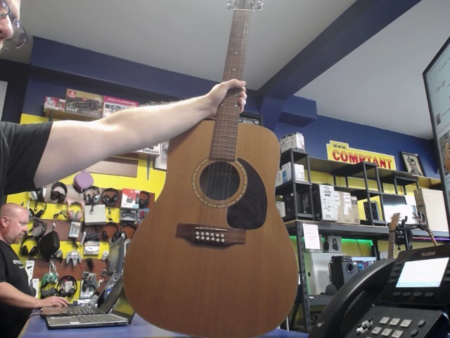 Guitare 12 cordes