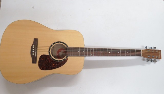 Norman b20 dans case dure acoustique