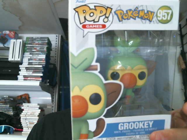 Pokemon grookey