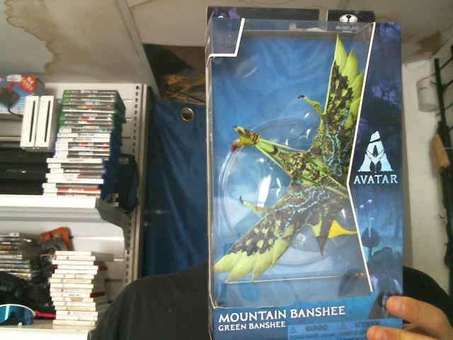 Mountain banshee