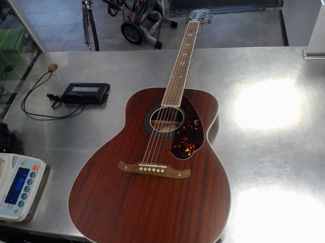 Guitare acoustiqu hellcat tim armstrong