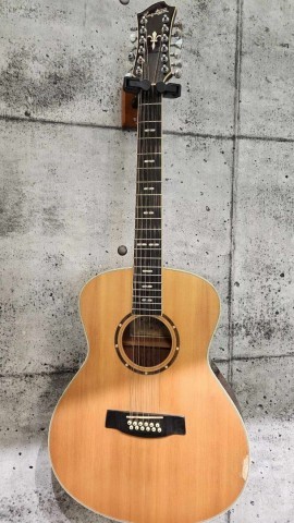 Guitare lectro-acoustique 12cordes+hardc