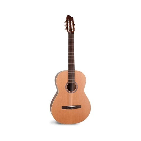 Guitare accoustique la patrie avec case