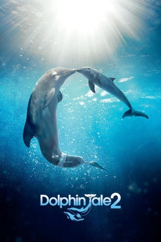 Dolphin tale 2