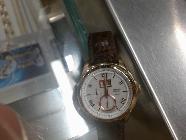 Citizen watch ecodrive calibre 3100