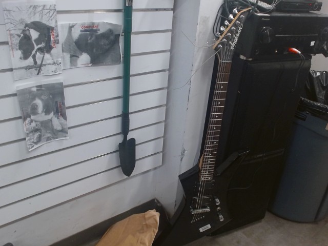 Guitare js32