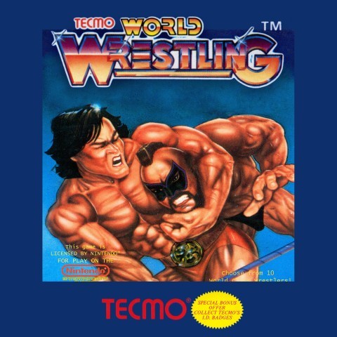 Tecmo world wrestling on nes