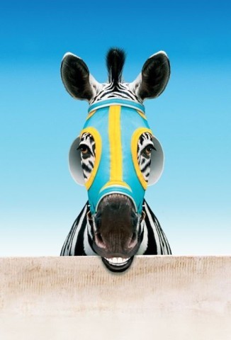 Racing stripes